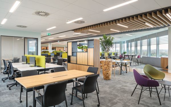 Open Office & Collaborative Zones