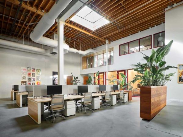 SaaS & Product Startups