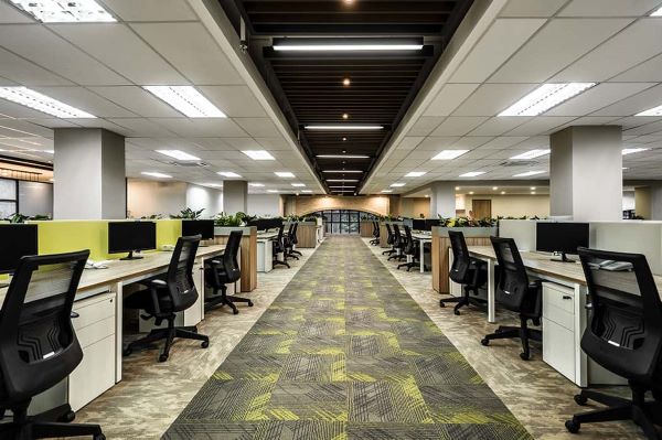 Software & App Development Companies