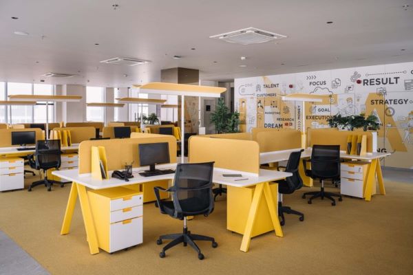 Branding & Theme-Based Interiors